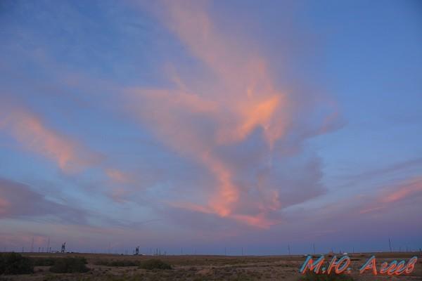 Кровавый ангел