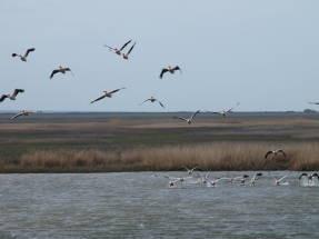 Ну хватит нам с тобой сердиться...
