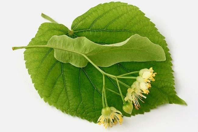 Ты знаешь,где берут стихи.