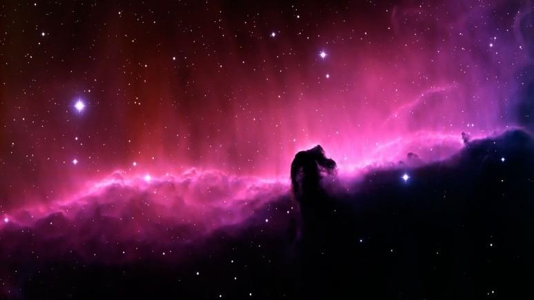 Принцесса умирай. Часть 2