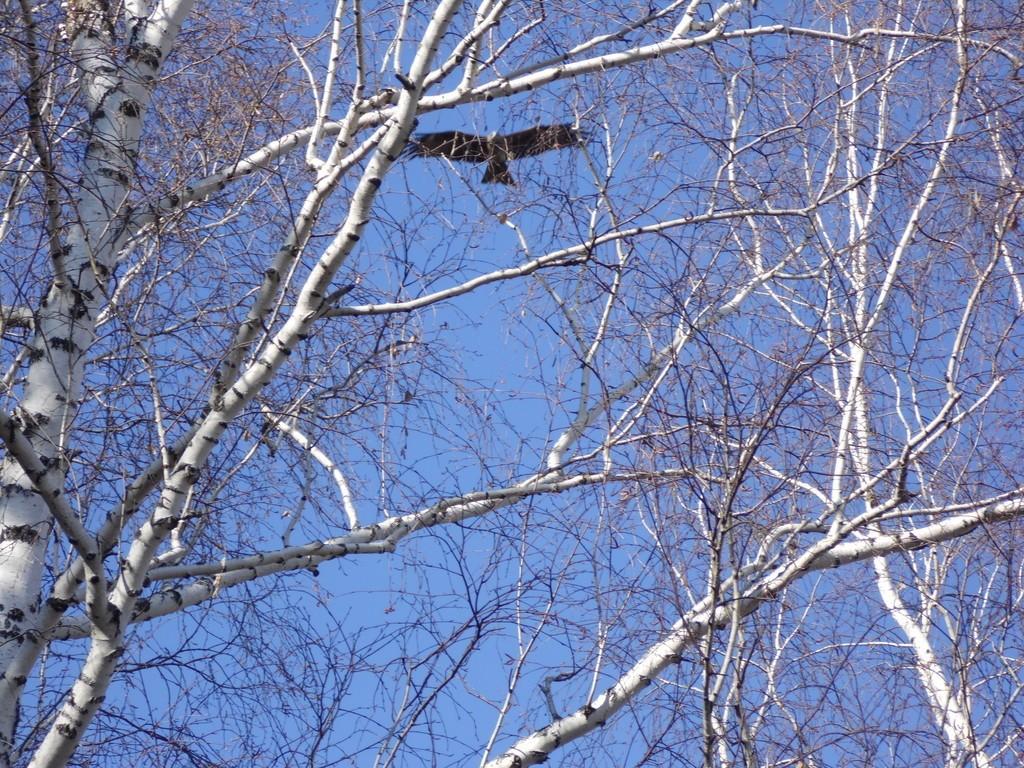 я расскажу...