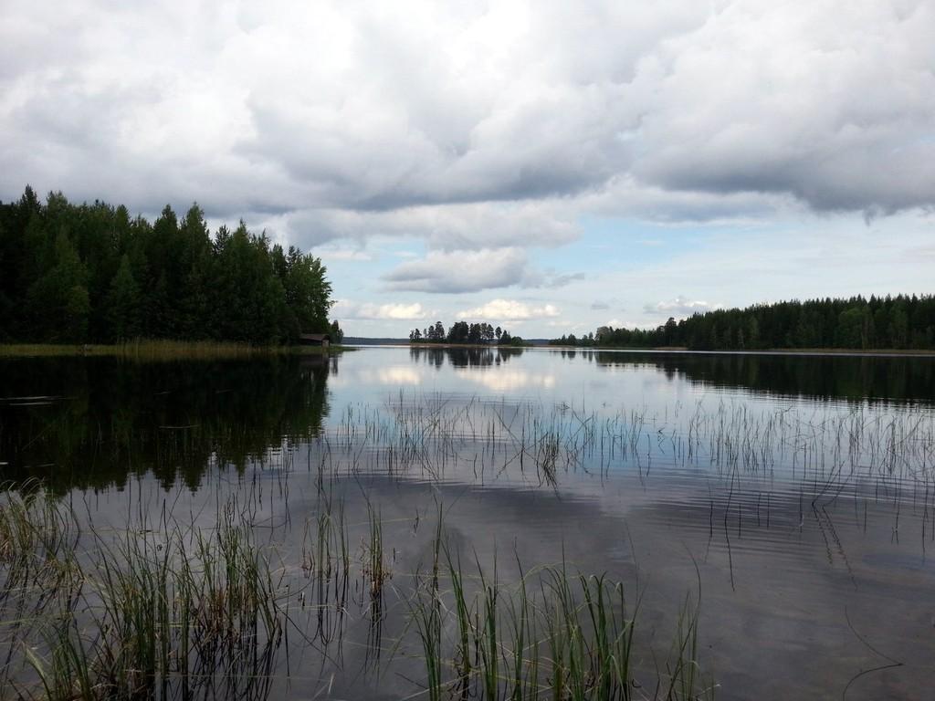 В верховьях рек.