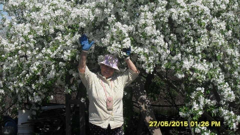 Лето 16 года