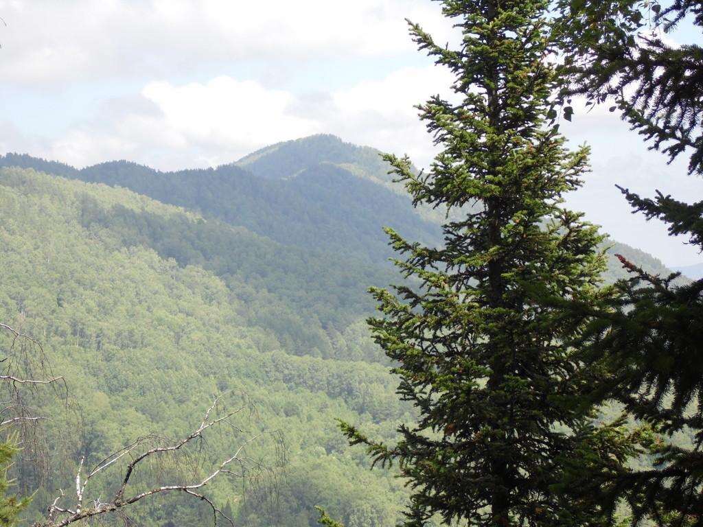 в ветрах плена колдовского...