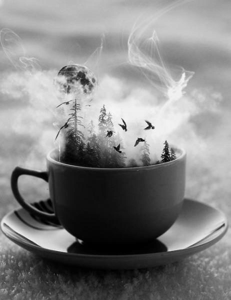 Жара тиши июльской ночи