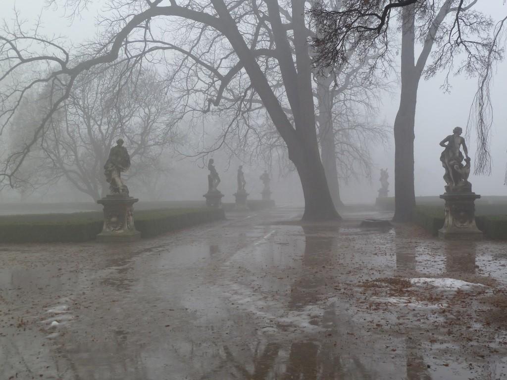 Вот это друзья...