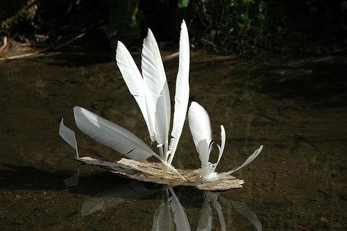 The Feather Boats