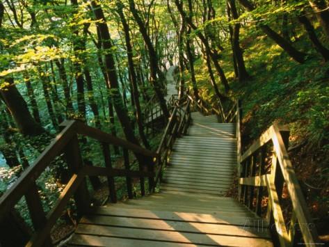 Наша страна.\подруге\