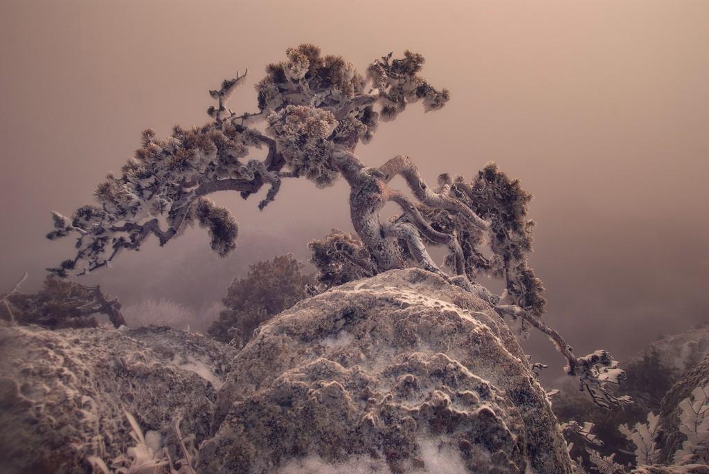 Слушай тишину, слушай...