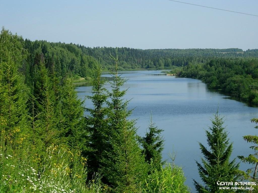 Медвежье счастье от 8. 06. 2011