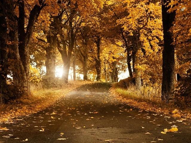 Истлевшая любовь