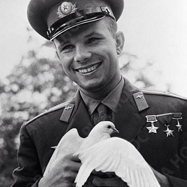 Отдайте мне свободу.