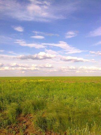 Купаясь в утренней росе…