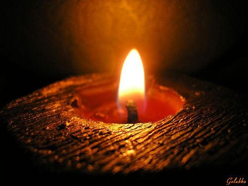 Стерпится-слюбится (?!)