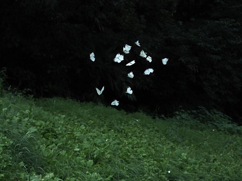 Понимайте Меня!