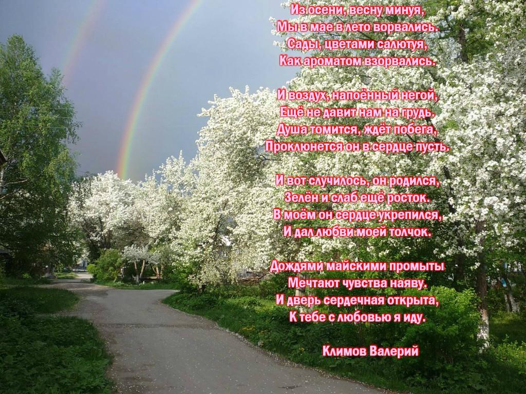 Из осени, весну минуя