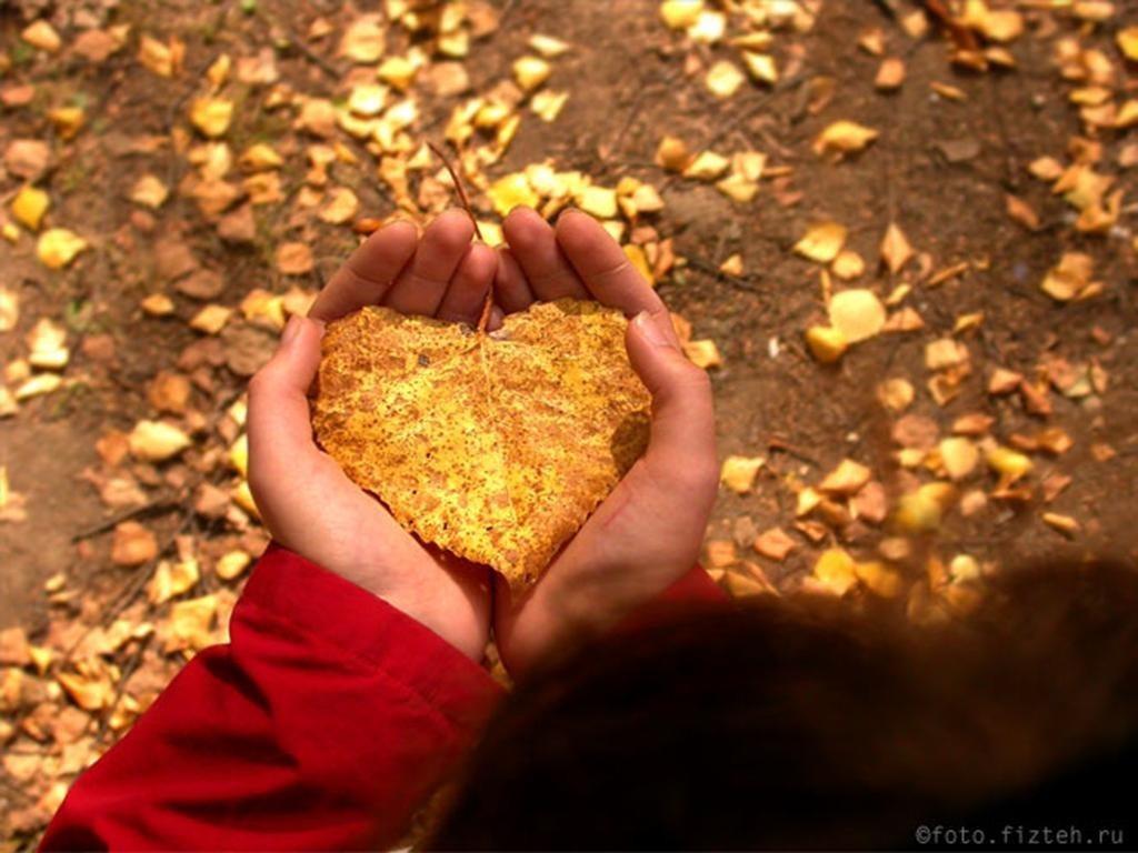 Последнее дыхание тепла