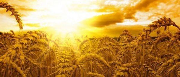 Слова солдата.