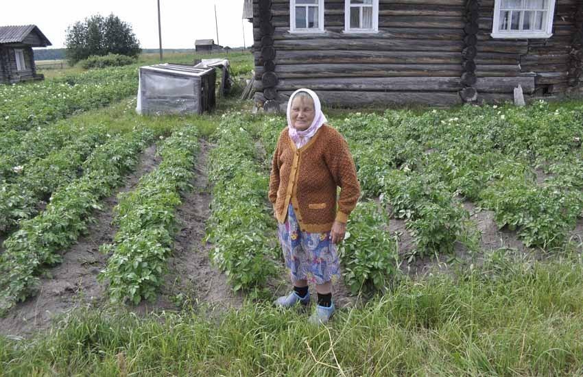 Я иду по нескошенным травам...