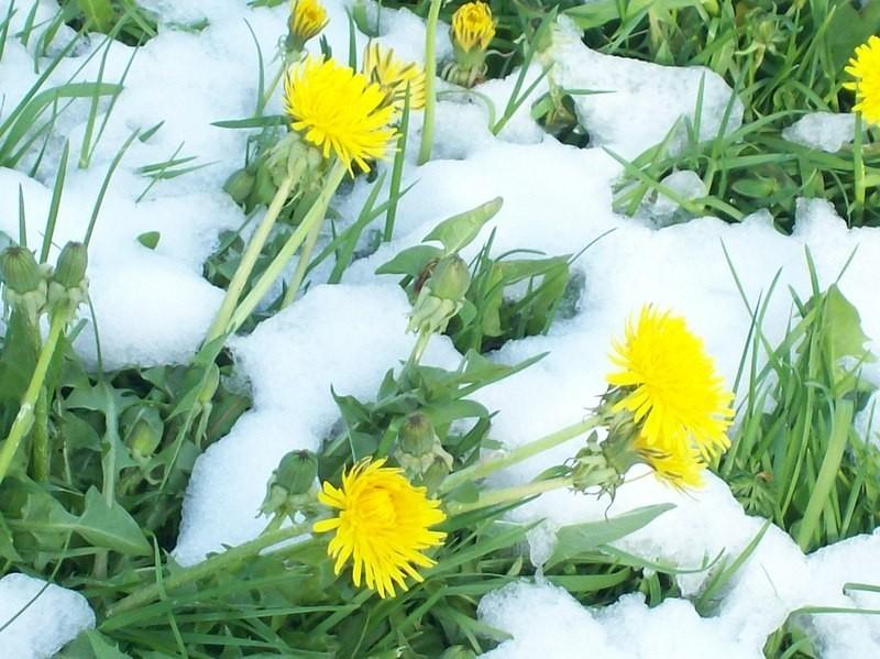 Настальгия