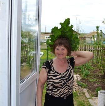 Пройтись по лабиринтам…