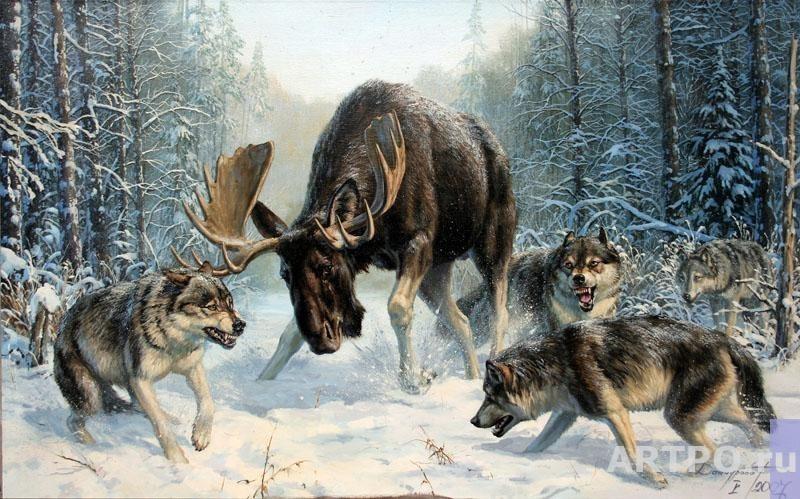 волчья охота на оленя