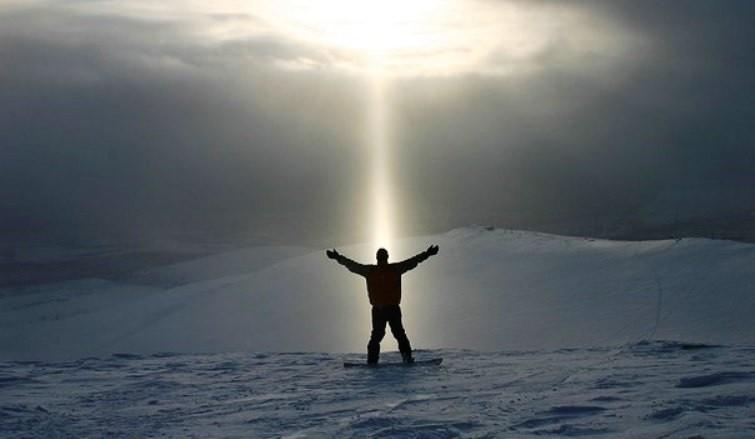 Не в бровь а в глаз