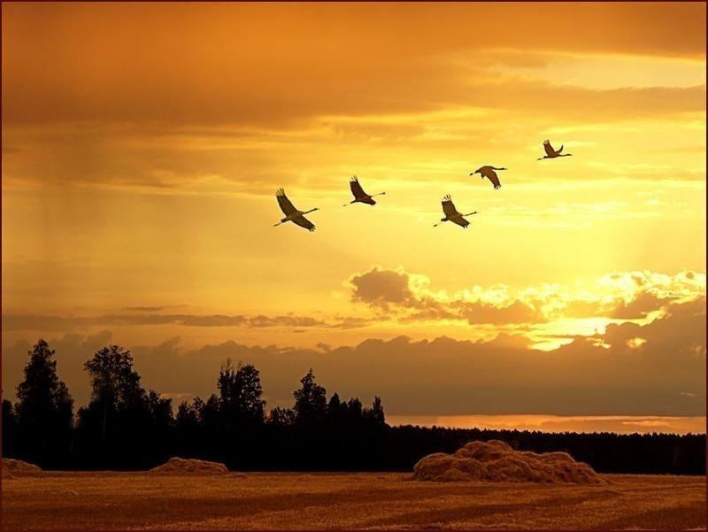 Россия... как объять тебя?