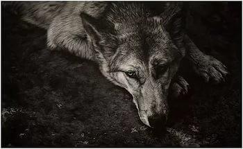 Страх одиночества и судьба