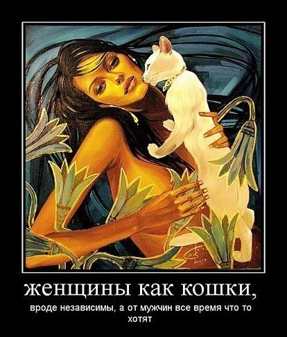 Отзыв на "Женщина, как кошка" (Нина Павлова)