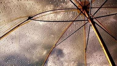 ...я готова отдать...