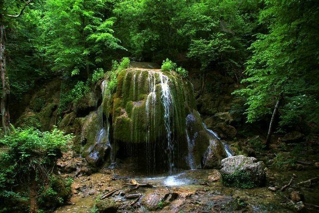 Я ХОЧУ В ЗАЧАРОВАННЫЙ ЛЕС