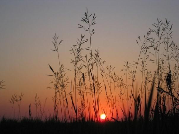 Земля.... родная....