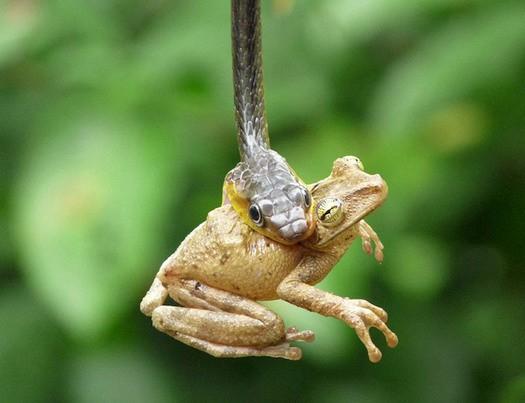 Жизнь не понарошку