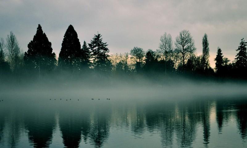 Молочный выдался коктейль...