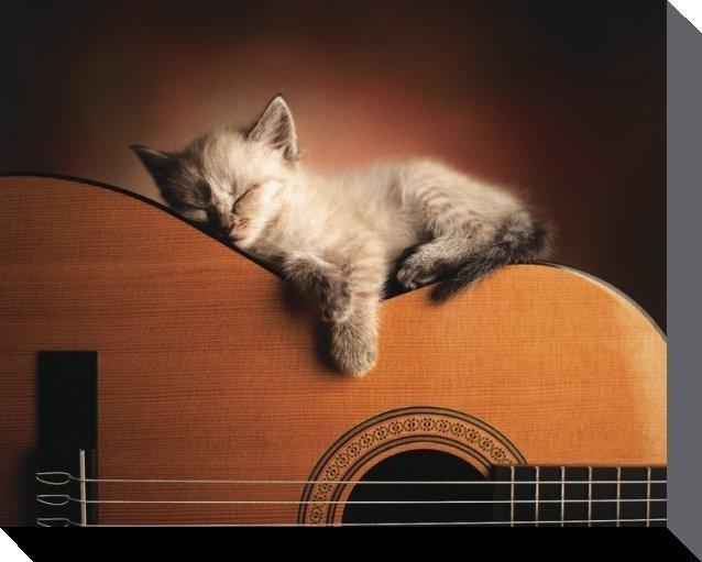 Не буди меня...