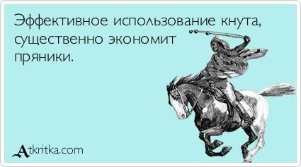 КНУТ И ПРЯНИК