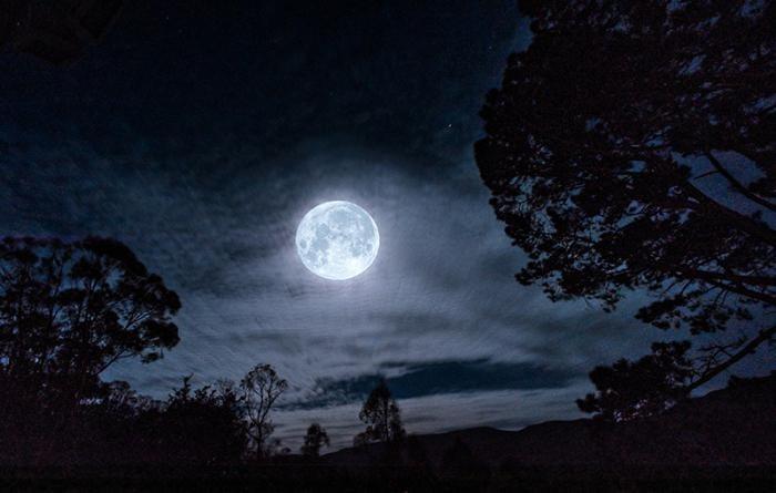 МАЙСКАЯ НОЧЬ