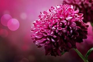 Ты не буди во мне мои желанья...