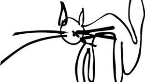 С О Н  (коллаж)