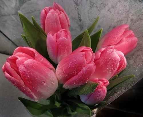 Спешим, спешим...