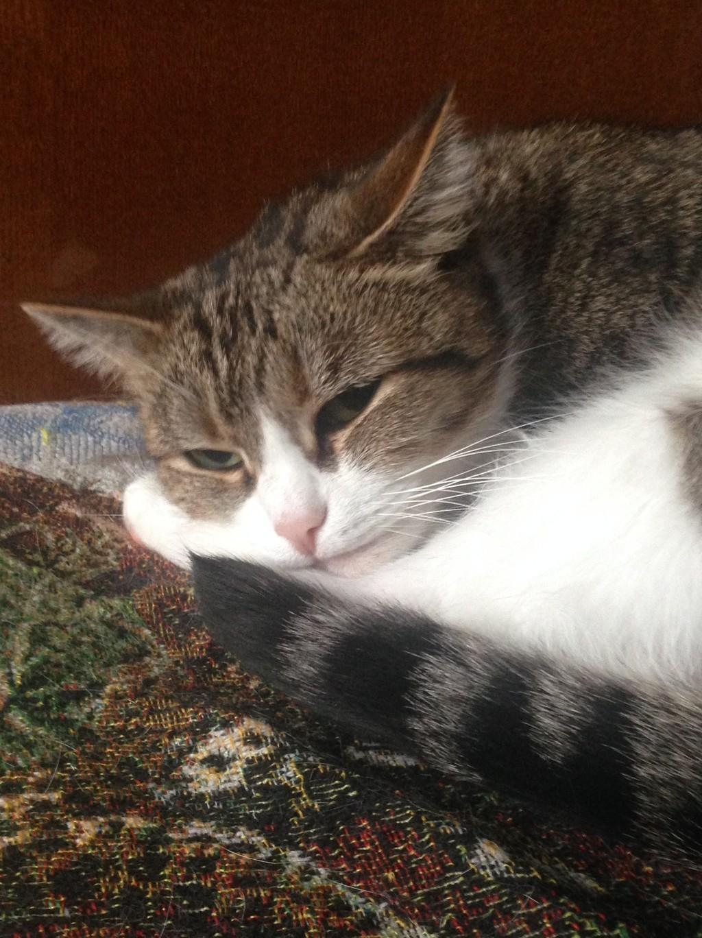 Память  8.01.09.