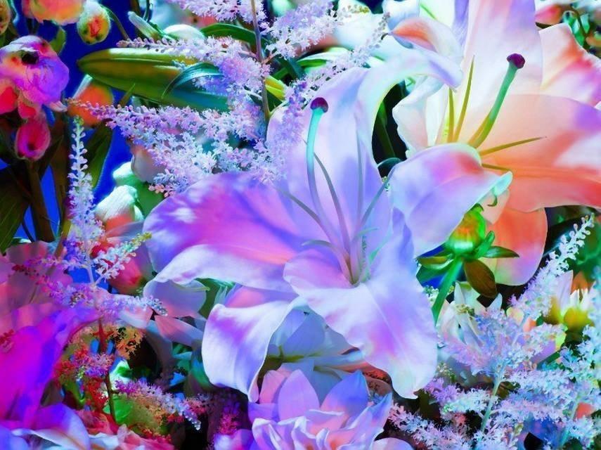 НЕВЕСТА СВЕТА