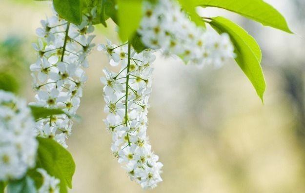 К чему писать тебе без дела...