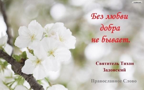 природа мать от 6. 06. 2011