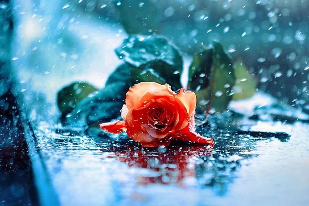 "Новогодняя ночь"