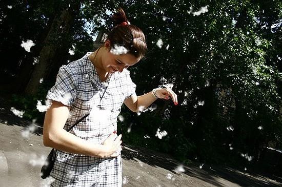 Весенний пух