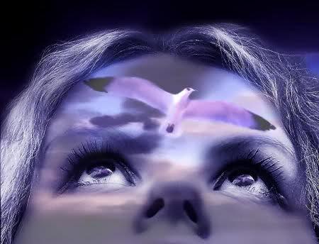 Мы в этой Жизни только гости