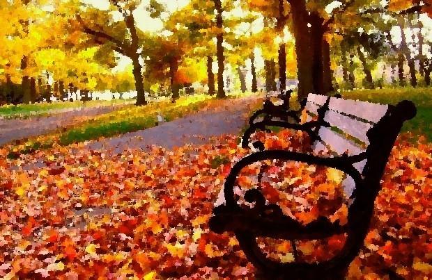 В городе оснень