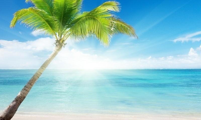 История любви